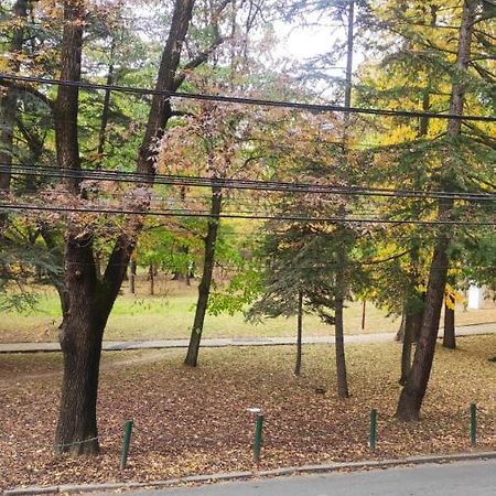 Apartament Centar_Park Arandelovac Zewnętrze zdjęcie