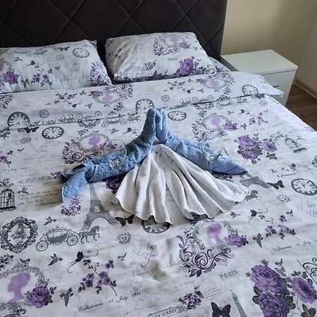 Apartament Centar_Park Arandelovac Zewnętrze zdjęcie